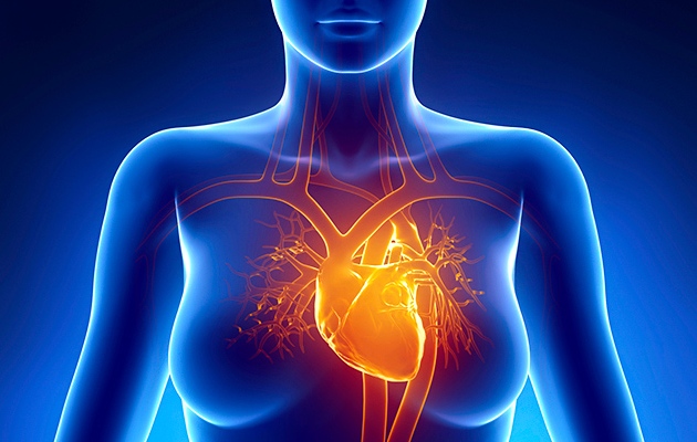 kalp sağlığı arteriyel fibrilasyon)